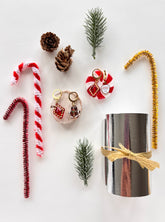 ORECCHINI TRA LA NEVE