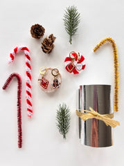 ORECCHINI TRA LA NEVE