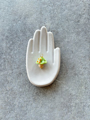 I FUNGHETTI DELLE MERAVIGLIE